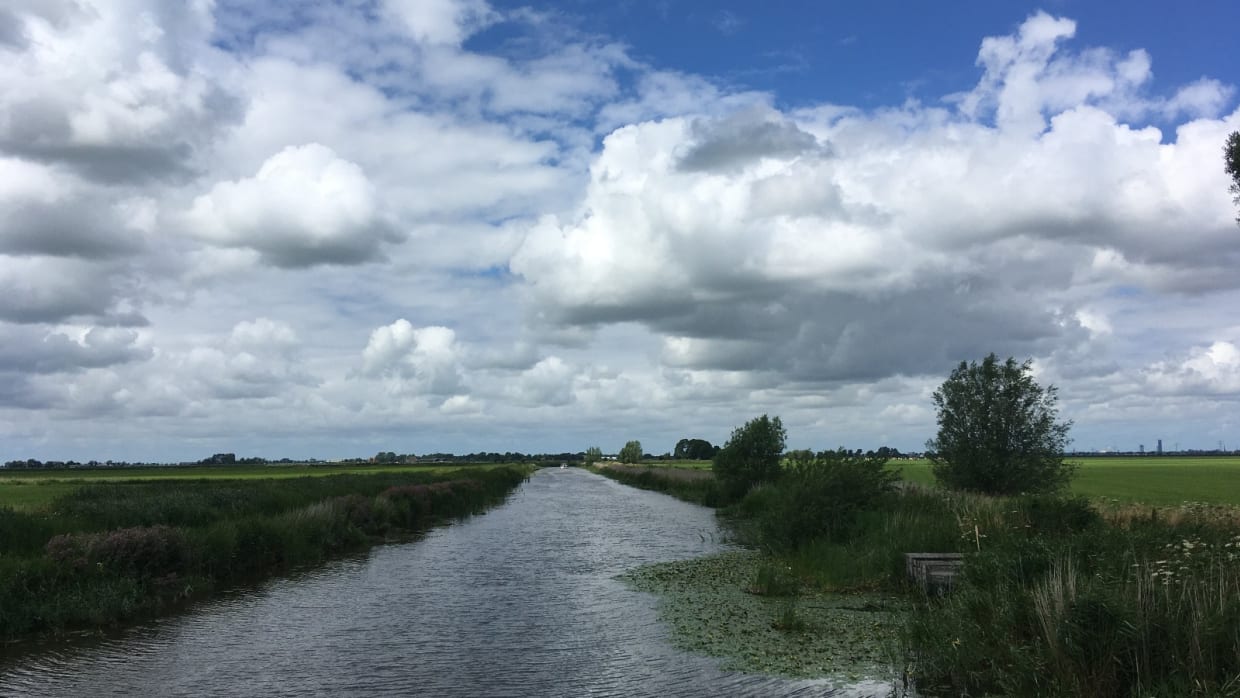 KNAW wil beschermde opleiding Friese taal en cultuur - Folia